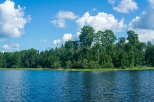 paesaggio acquatico, boscoso riva di il lago, Visualizza a partire dal il acqua su un' soleggiato giorno foto