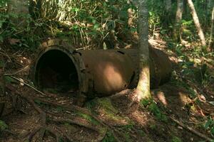 resti di arrugginito industriale attrezzatura tra il foresta foto