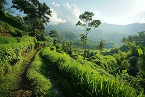 ai generato bellissimo paesaggio di un' alto montagna valle con tropicale vegetazione e terrazzato i campi nel il sfondo foto