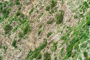 paesaggio di un' montagna pendenza con Esposto alle intemperie rocce e ghiaioni coperto con arbusti foto