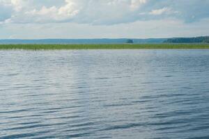 naturale paesaggio, vasto superficiale lago con canna banche foto