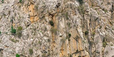 paesaggio, struttura - puro roccioso parete con crepe e vegetazione foto