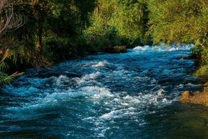 veloce montagna fiume flussi tra il boscoso banche foto