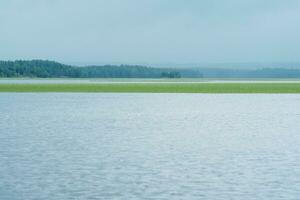 naturale paesaggio, vasto superficiale lago con canna banche su un' piovoso giorno foto