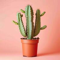 ai generato Immagine di cactus su isolato pianura sfondo foto