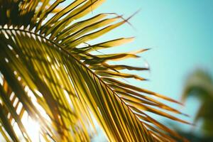 ai generato vicino su di un' palma albero foglia con un' blu cielo nel il sfondo foto