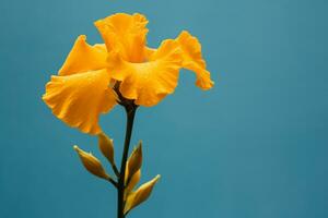 ai generato un' giallo fiore con un' blu pianura sfondo foto