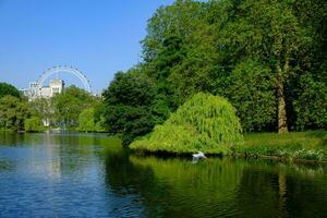 bellissimo estate tempo nel il parco con stagno e Londra occhio nel il sfondo. st Giacomo parco, Londra. foto