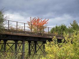 Colori autunnali e una linea ferroviaria in disuso a Fairburnings Nature Reserve, West Yorkshire, Inghilterra foto