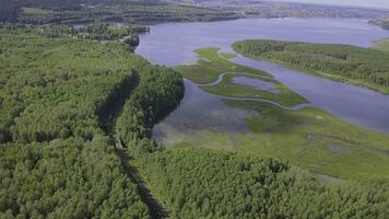 aereo Visualizza al di sopra di soleggiato lago circondato di pino albero foresta vicino cittadina. clip. durante soleggiato estate giorno. superiore Visualizza di il foresta lago vicino il cittadina foto