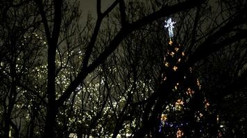 bellissimo città Natale albero con ghirlande su sfondo di buio notte cielo. concetto. bellissimo luminosa Natale albero con ghirlande su nuvoloso inverno giorno foto