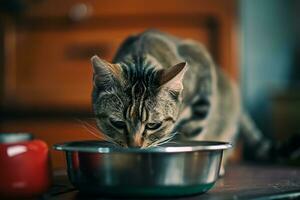 ai generato Affamato gatto a casa cucina foto