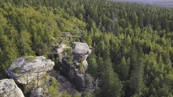 sorprendente Visualizza su montagna paesaggio su estate soleggiato giorno. clip. verde colline coperto erba e fiori contro montagne. scenario di vivace natura foto