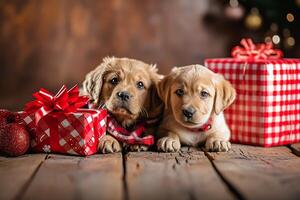 ai generato carino gatto e cane cucciolo con Natale regalo scatole su di legno pavimento foto