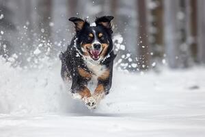 ai generato contento in esecuzione cane su inverno neve foresta foto