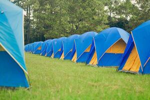 tenda siti foderato su nel linee, campeggio, turista attrazioni, nazionale parco tenda siti. foto