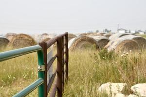 vecchie balle di fieno e un recinto rurale foto