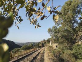 binari ferroviari abbandonati attraverso le montagne foto