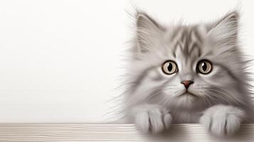ai generato soffice grigio gattino sbirciando al di sopra di tavolo con largo occhi foto