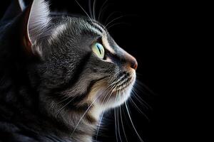ai generato avvicinamento di un' domestico gatto con penetrante verde occhi foto
