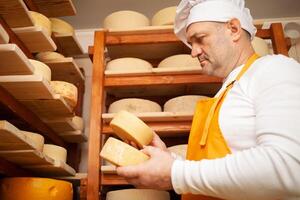 maschio, uomo formaggio creatore uomo d'affari, individuale imprenditore, controlli formaggio nel cantina, seminterrato. formaggio testa matura su di legno scaffali, processi di producendo fatti in casa. controlli. foto