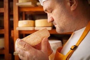 maschio, uomo formaggio creatore uomo d'affari, individuale imprenditore, controlli formaggio nel cantina, seminterrato. formaggio testa matura su di legno scaffali, processi di producendo fatti in casa. annusando. foto