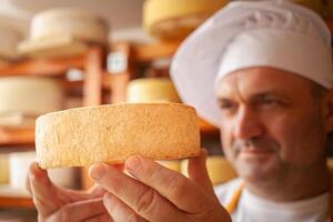 maschio, uomo formaggio creatore uomo d'affari, individuale imprenditore, controlli formaggio nel cantina, seminterrato. formaggio testa matura su di legno scaffali, processi di producendo fatti in casa. cucinare. foto