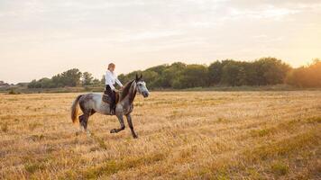 donna gli amori un' cavallo. amore e amicizia per il animale, cura foto