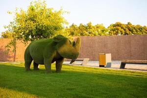 bellissimo rinoceronte fatto di erba, paesaggio disegno, animale figure a partire dal cespugli. falciato prato foto