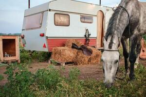 grigio cavallo, mobile trailer, raggiante ghirlanda foto