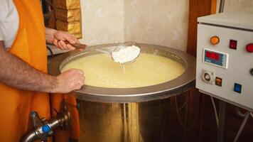 formaggio produzione a partire dal latte, casa attività commerciale, cibo, eco-friendly e gustoso prodotti. siero nel I.V.A. foto