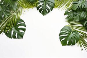 ai generato foto verde tropicale palma le foglie Monstera su bianca sfondo generativo ai