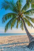 ai generato soleggiato esotico spiaggia di il oceano con palma alberi a tramonto estate vacanza creare ai foto