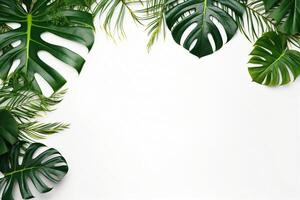 ai generato foto verde tropicale palma le foglie Monstera su bianca sfondo generativo ai