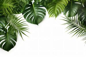 ai generato foto verde tropicale palma le foglie Monstera su bianca sfondo generativo ai