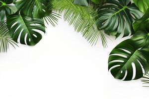 ai generato foto verde tropicale palma le foglie Monstera su bianca sfondo generativo ai