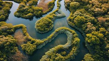 ai generato generativo ai, aereo Visualizza di labirinto corsi d'acqua, fuco foto, bellissimo paesaggio foto