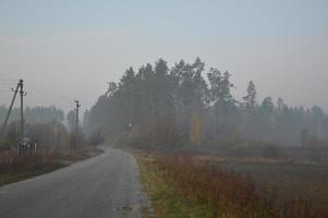 nebbia mattutina e foschia nella foresta e nel villaggio foto