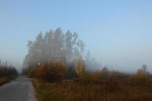 nebbia mattutina e foschia nella foresta e nel villaggio foto