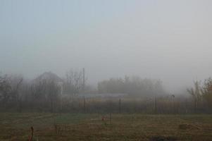nebbia mattutina e foschia nella foresta e nel villaggio foto