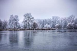 foresta invernale sul fiume al tramonto. paesaggio panoramico con alberi innevati, sole, bellissimo fiume ghiacciato con riflesso nell'acqua. di stagione. alberi d'inverno, lago e cielo blu. fiume innevato gelido. tempo metereologico foto