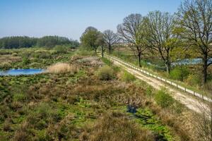 Visualizza di il fochteloerveen, torba, Di più, vicino assente, il Olanda durante un' bellissimo soleggiato giorno foto