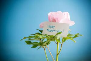 bellissimo grande rosa peonia con Congratulazioni su La madre di giorno foto