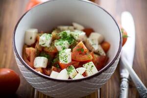 insalata di fresco maturo pomodori con Mozzarella e spezie nel un' ciotola foto