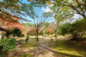 tranquillo autunno giardino ombreggiato foto