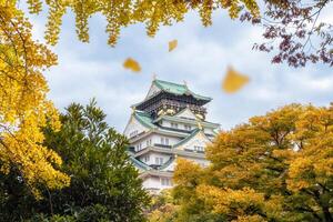 osaka castello con giallo ginkgo le foglie è caduta nel autunno foto