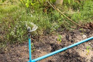 avvicinamento spruzzatore irrigazione irrigazione modulo blu tubo nel il azienda agricola foto