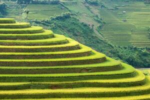 riso campo su terrazzato punto di riferimento di mu cang chai foto