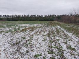 neve abbattere su un agricolo campo foto