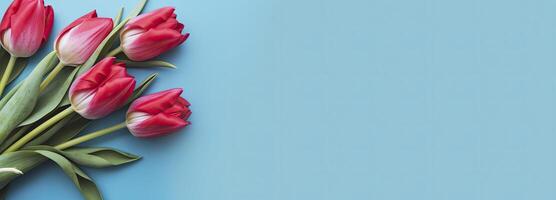 ai generato mazzo di rosso tulipano su blu sfondo. superiore Visualizza con copia spazio. ai generato foto